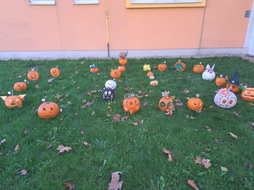 Tök-nap 2024.10.17.